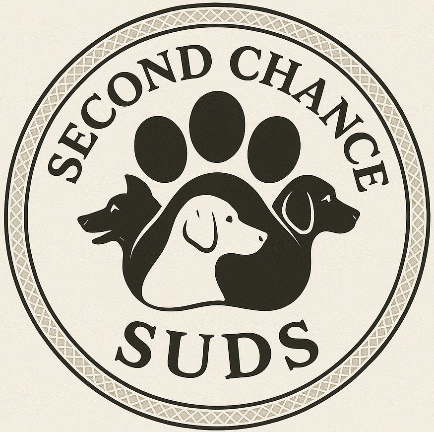 Second Chance Suds